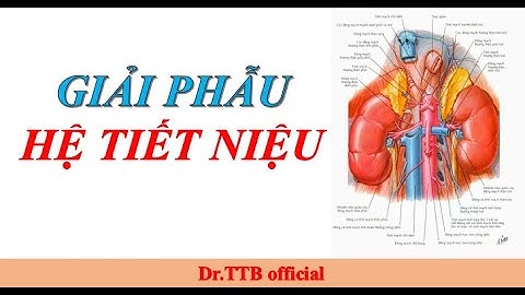 GIẢI PHẪU HỆ TIẾT NIỆU