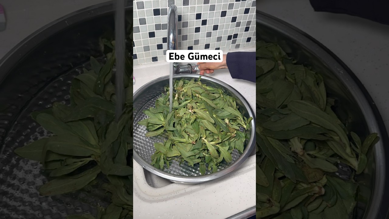 Ebe Gümeci #yemektarifleri #pratiktarifler #sebzeyemekleri #tarif #food #yemek #recipe #borekler Ebe Gümeci #yemektarifleri #pratiktarifler #sebzeyemekleri #tarif #food #yemek #recipe #borekler