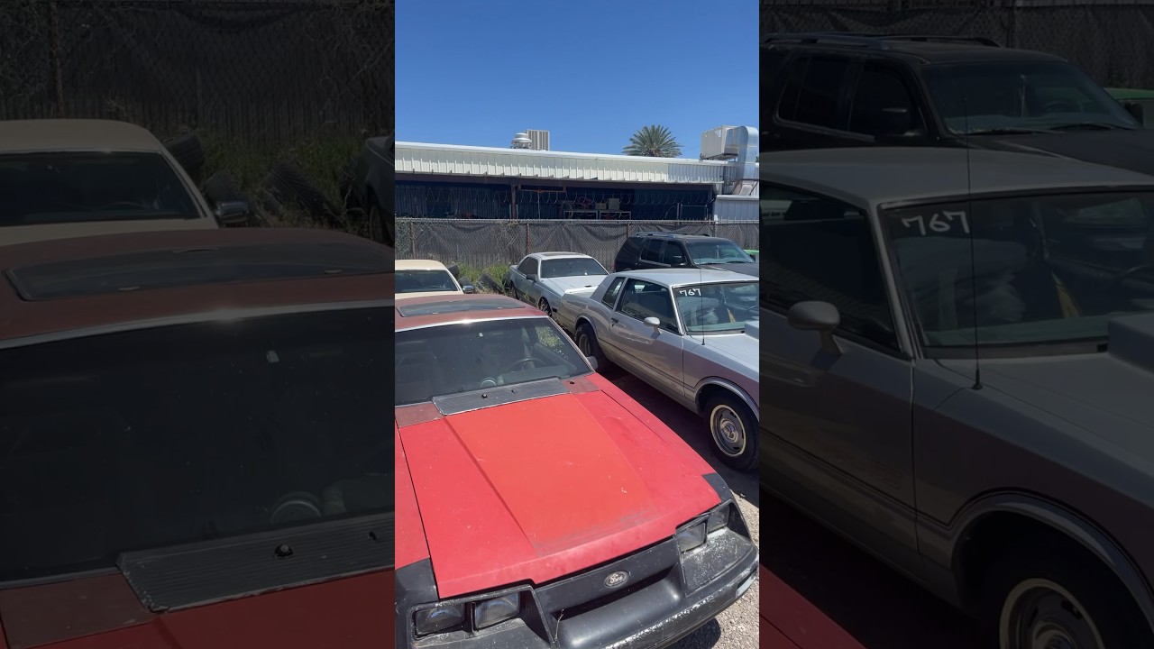 Some of Rubber and asphalt cars