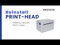 Print Head Reinstall for TP732, TP730, TP874, TP876 English Version | Grozziie