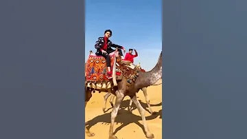 سامر المدنى لايف ومهرجان انا محترم مش محترم انا رجولة من شارع الهرم 