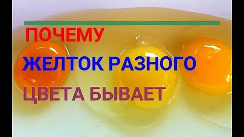 🥚🥚📌ПОЧЕМУ ЖЕЛТОК БЫВАЕТ РАЗНОГО ЦВЕТА?