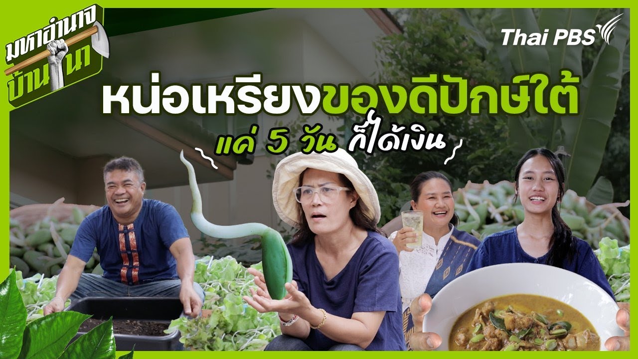 หน่อเหรียงของดีปักษ์ใต้ แค่ 5 วันก็ได้เงิน | มหาอำนาจบ้านนา