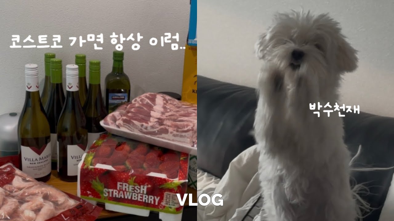 Vlog. 월급날, 코스트코에서 탕진 하는 날 | 반려견과 일상 브이로그 
