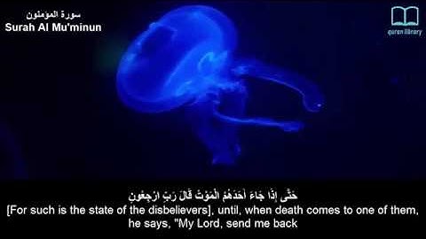 سورة المؤمنون - سعد الغامدي - مترجم | Surah Al Mu'minun - Saad Alghamdi - English subtitles