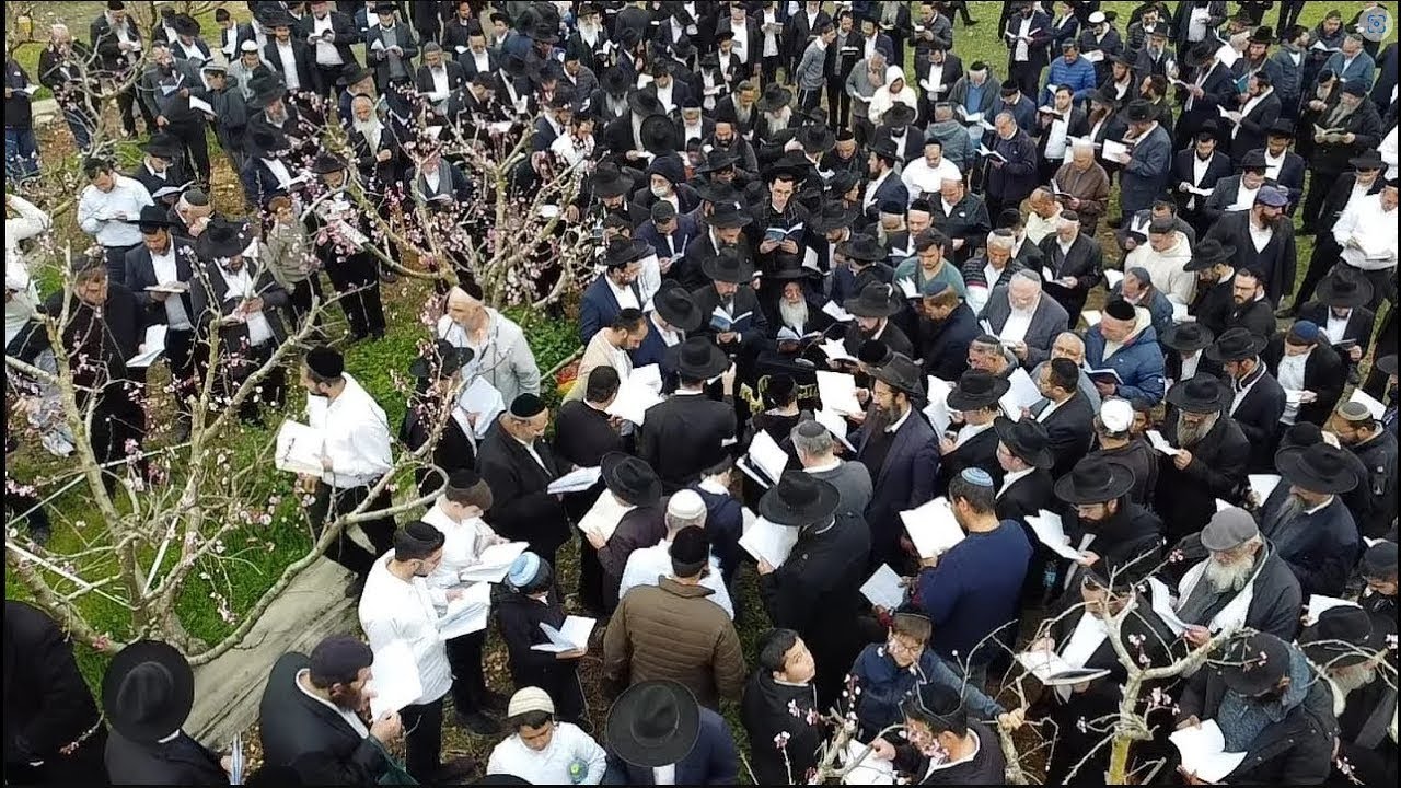 ברכת האילנות ברוב עם ר"ח ניסן תשפ"ה עם מו"ר ר' בניהו שמואלי שליט"א