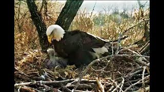 Decorah Eagles-Easter Fish Breakfast \& D32 Helps Mom