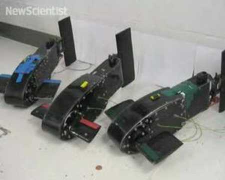 Robot fish synchronise into schools