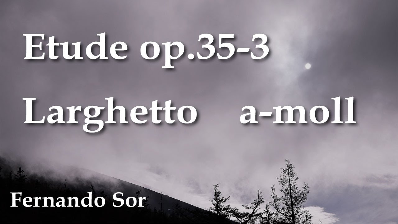 練習曲 op.35-3 ラルゲット（F.ソル） Etude op.35-3 Larghetto (F.Sor