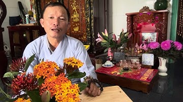 Tư vi 12 con giáp ngày 22/9/2023 DL bốn con giáp tỉnh táo hơn khi tình cảm không như ý