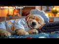 Dog Sleep Music 💖 Dog Relaxation Music 🎵 Calming Dog Music Encouraging Quiet And Calm Behavior