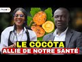 @AlerteInfoNews Le côcôta, un fruit au potentiel nutritionnel incroyable