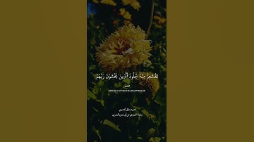#القرآن_الكريم #اكسبلور #تلاوة_خاشعة #لايك #ياسر_الدوسري #تيك_توك #ترند #قرآن #ماهر_المعيقلي #تلاوات