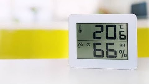 How to reduce humidity and prevent mold growth in your home