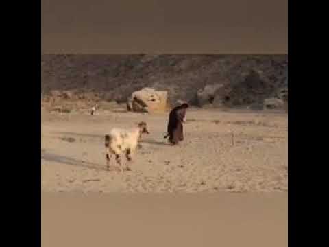 مادران بلوچ