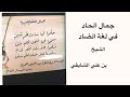 جمال اللغة العربية حلموا فما ساءت لهم شيم 