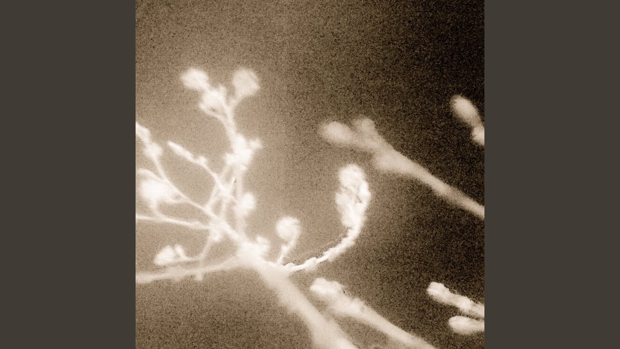 ang balikat at baywang