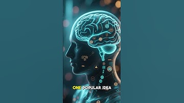 The Science of Déjà Vu – Why Do We Feel It #mindbendingquiz #facts