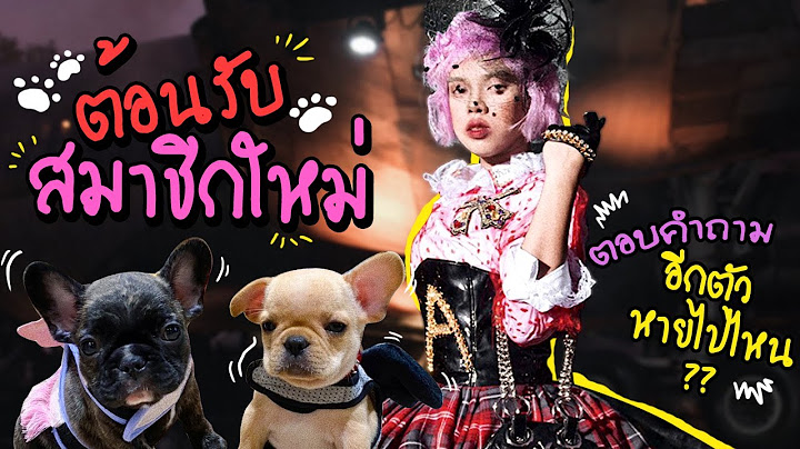 VLOG 74 : ต้อนรับสมาชิกใหม่...ตอบหมดน้องอีกตัวหายไปไหน!?! | Alie