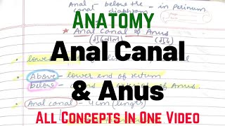 Anal Canal & Anus || Anatomy [Rachana Sharir] || BAMS First Year || Being Doctor 😈
