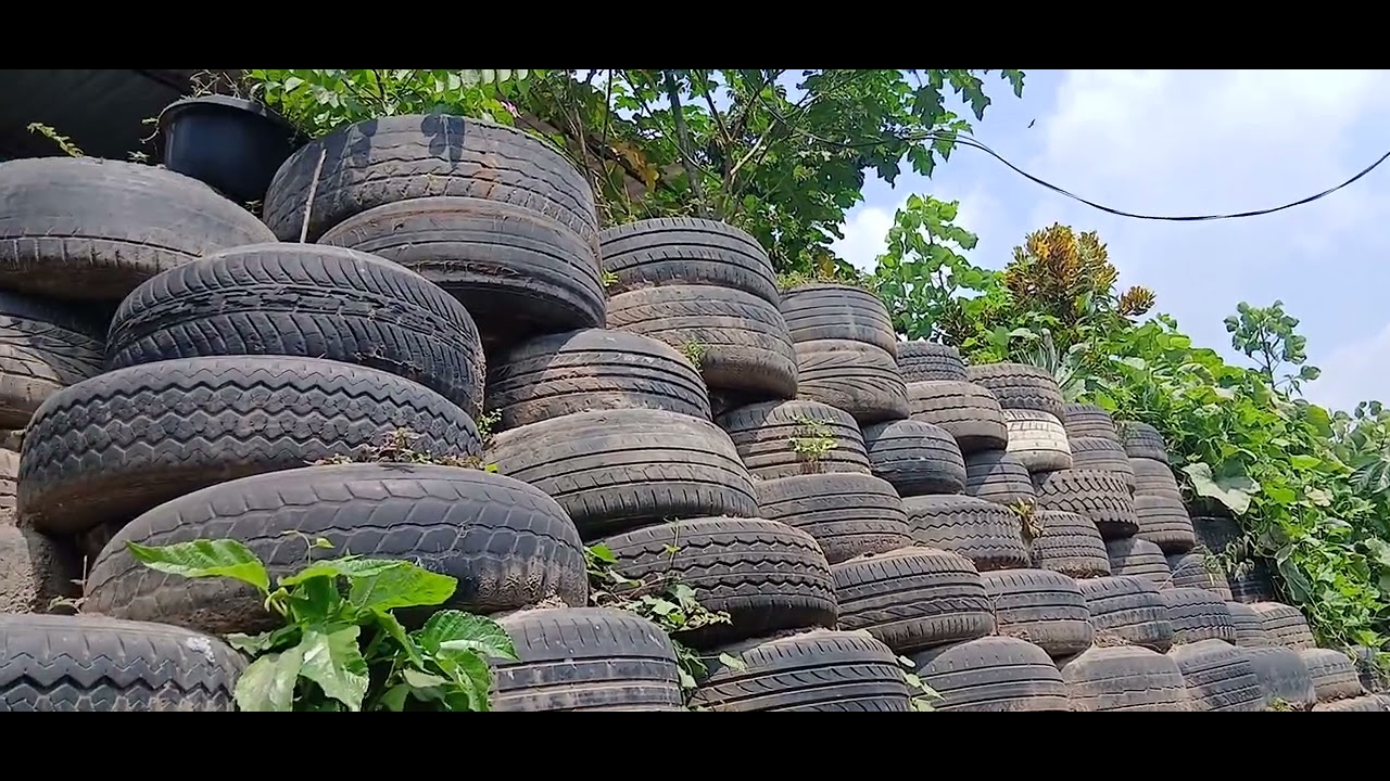 Lucila esta muy asustada por el muro de llantas vean como están 