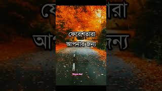 ৫ সেকেন্ডের দোয়া। islamicstatusvideo whatsapp_status