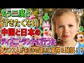【海外の反応】娘が半泣き「もう二度と行きたくない！」中国と日本のディズニーランドに行ったフランス人の子供があまりの違いに驚愕＆発狂！？→フランス人女性が受けた衝撃とは？【日本人も知らない真のニッポン】