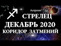 СТРЕЛЕЦ - ДЕКАБРЬ 2020 - КОРИДОР ЗАТМЕНИЙ. Астролог Olga