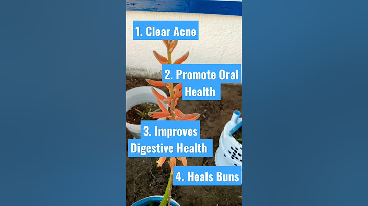 Aloe Vera Flower's Benefits | Lucky Flowers #healthy #short
