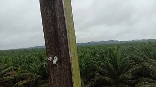 lokasi PT SINAR MAS
