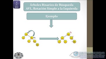 43 - Árboles Binarios de Búsqueda AVL, Rotación Simple a la Izquierda (EDDJava)
