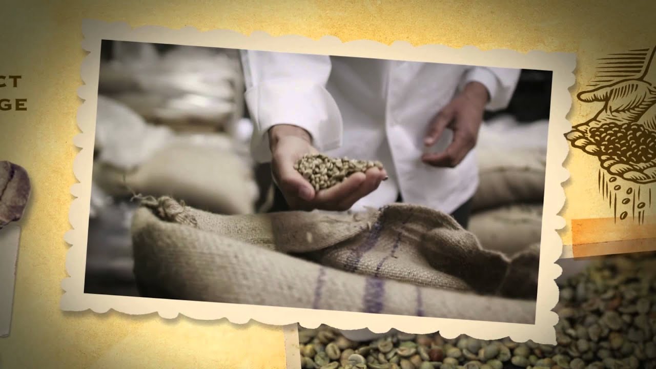 The Journey from Bean to Cup - YouTube