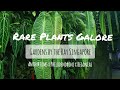 RARE PLANTS GALORE - Tour of Gardens by the Bay Singapore (Massive Anthuriums and Philodendrons!)