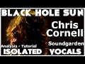 Soundgarden - Black Hole Sun - Chris Cornell - Isolated Vocals - Analysis and Tutorial