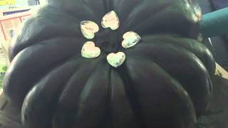 Rhinestone Bling Pumpkin -Cindy Dole How To Video