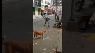 Free Fire Greena Onle Hadshort Impossible