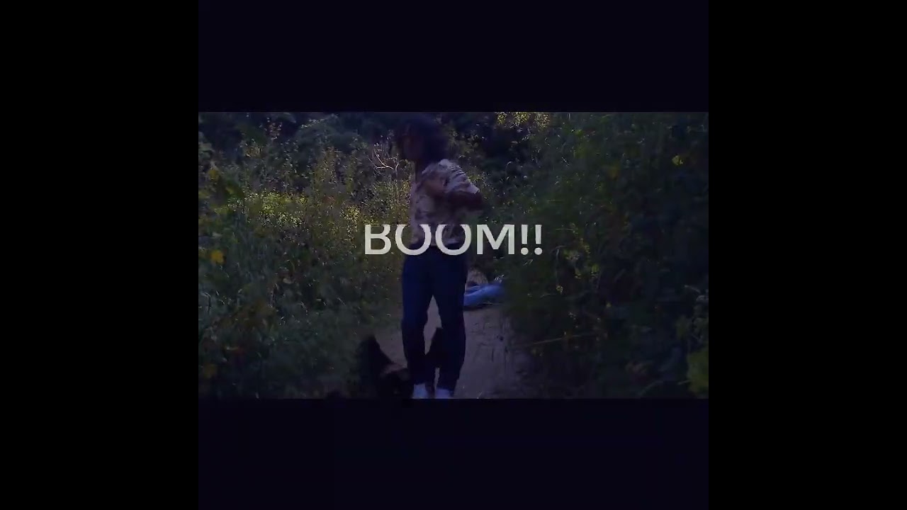 The Animal Trailer