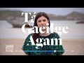 Bliain na Gaeilge 2018 - Áine Ní Bhreisleáin