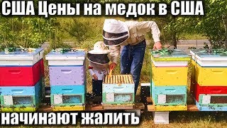 USA КИНО 1329. Цены на медок в США начинают жалить... USA КИНО 1329. Цены на медок в США начинают жалить...
