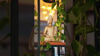 Hanedan Otel Reels Çekimi