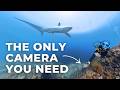 Why scuba divers need a 360&deg; degree camera?