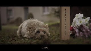 Download Lagu Wish You The Best | Live Vocal Performance | Lewis Capaldi Cover | Music Video MP3 Download Lagu Wish You The Best | Live Vocal Performance | Lewis Capaldi Cover | Music Video MP3