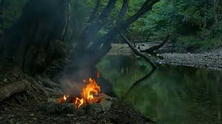Doğada Akşam Huzuru Akarsu Kenarında Kamp Ateşi Ve Orman Sesleri