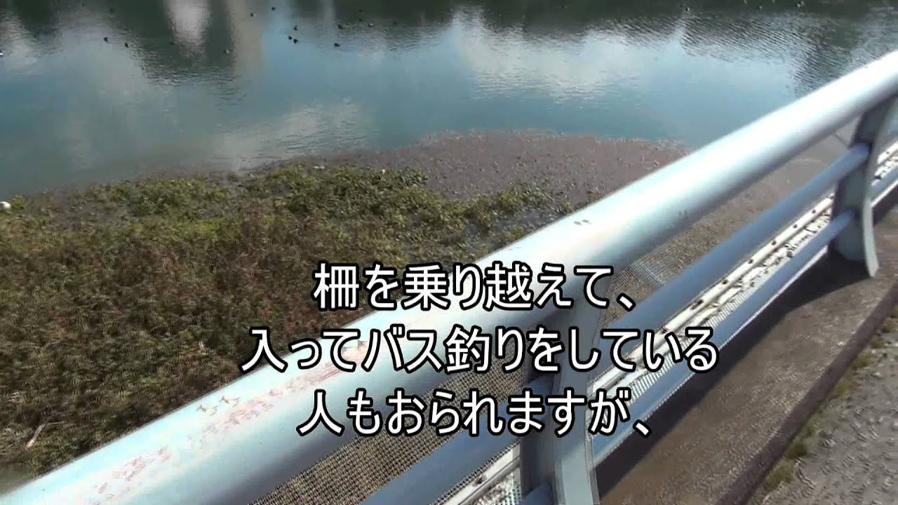 バス釣り 琵琶湖 第二疎水 釣りポイントでないポイント紹介 Youtube