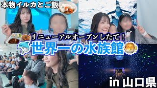 イルカと一緒にご飯が食べられる水族館!!男より子供と行くのが1番楽しいアラサー女