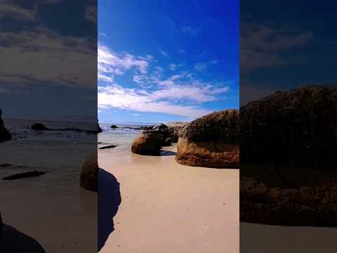 Стив Джобс, миллиардер, а вы знали? #motivation #авызнали #интересно #capetown #southafrica