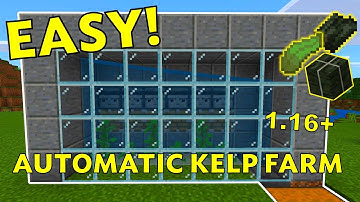 EASIEST Automatic Kelp Farm Tutorial: Minecraft 1.16+