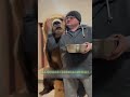 Любопытная дружба между медведем и человеком #животные #любовь #медведь  #дружба #zoo #shorts