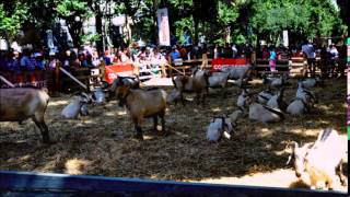 Mundo Agricola veio a Lisboa