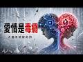 愛情是毒癮嗎？從芬太尼、《鐵拳教育》禪修到戀愛＝腦被劫持，拆穿人類最大的幻覺